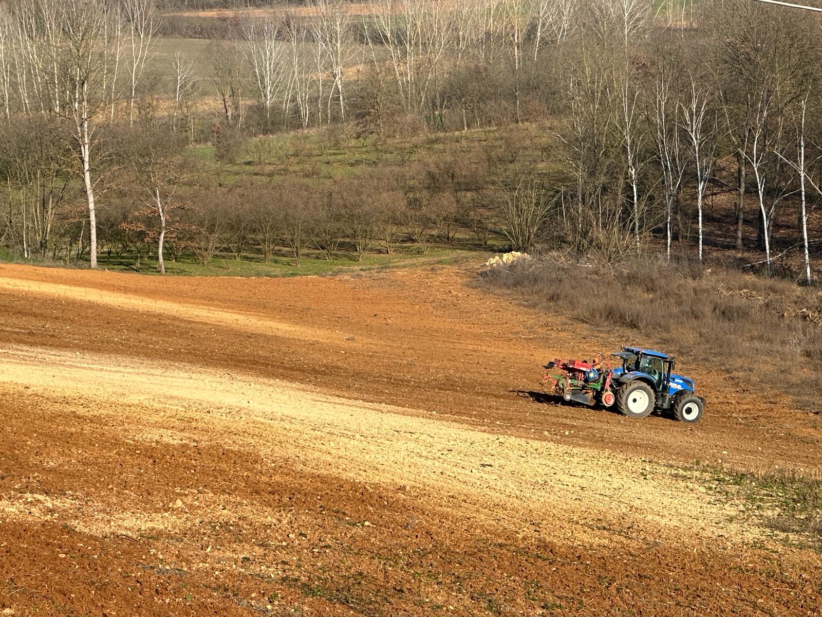 Tractor in the vineyard of Tenuta CostaRossa process of planting Pinot Nero seedlings