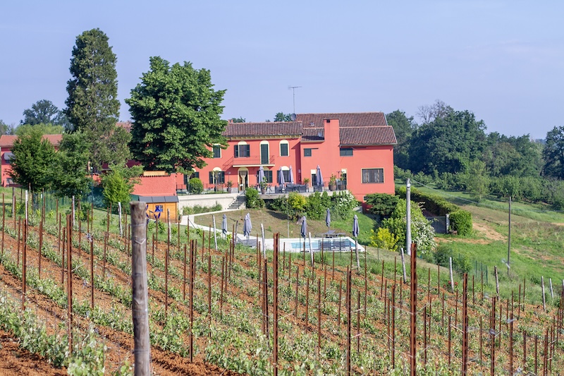 Rental Villa Tenuta CostaRossa in vineyard of its winery