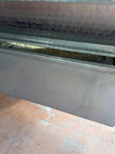 grapes pressed to must
